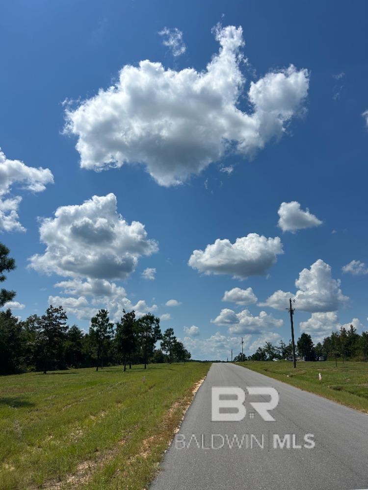 Photo 1 of 1 — 0 Old Highway 31, Brewton, AL 36426