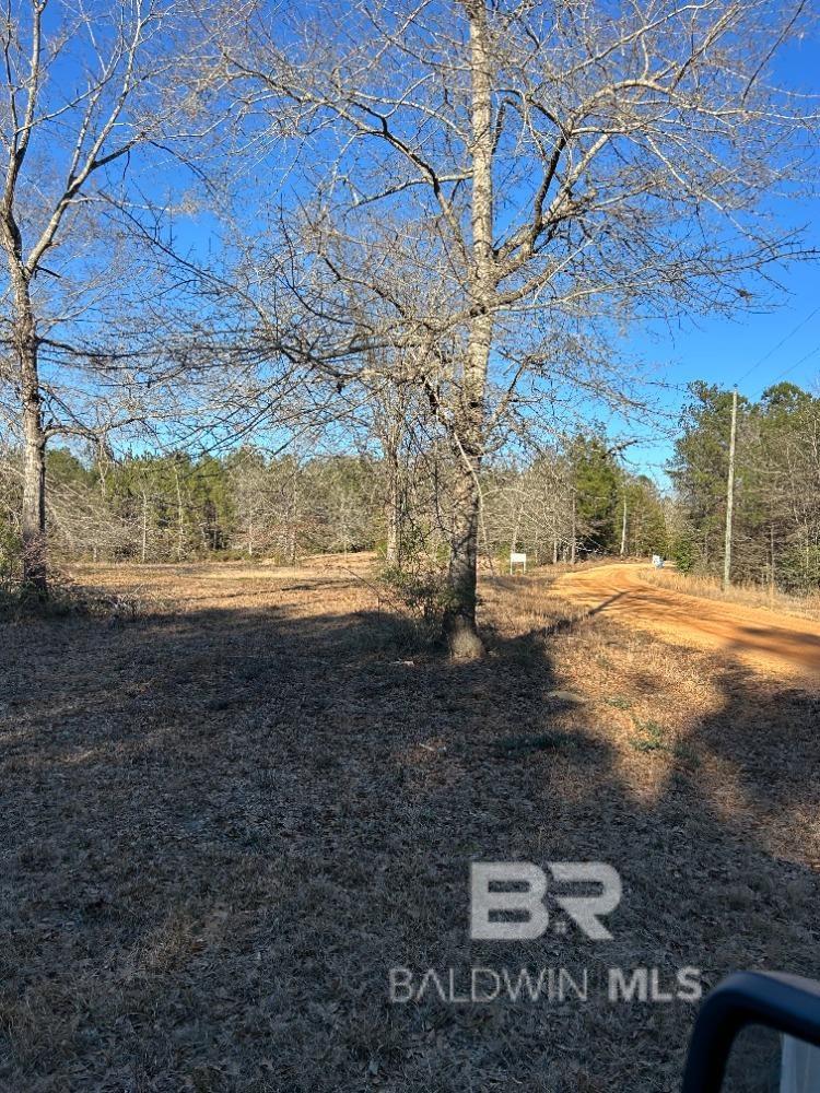 Photo 1 of 2 — 0 Buddy Lake Road, Brewton, AL 36426