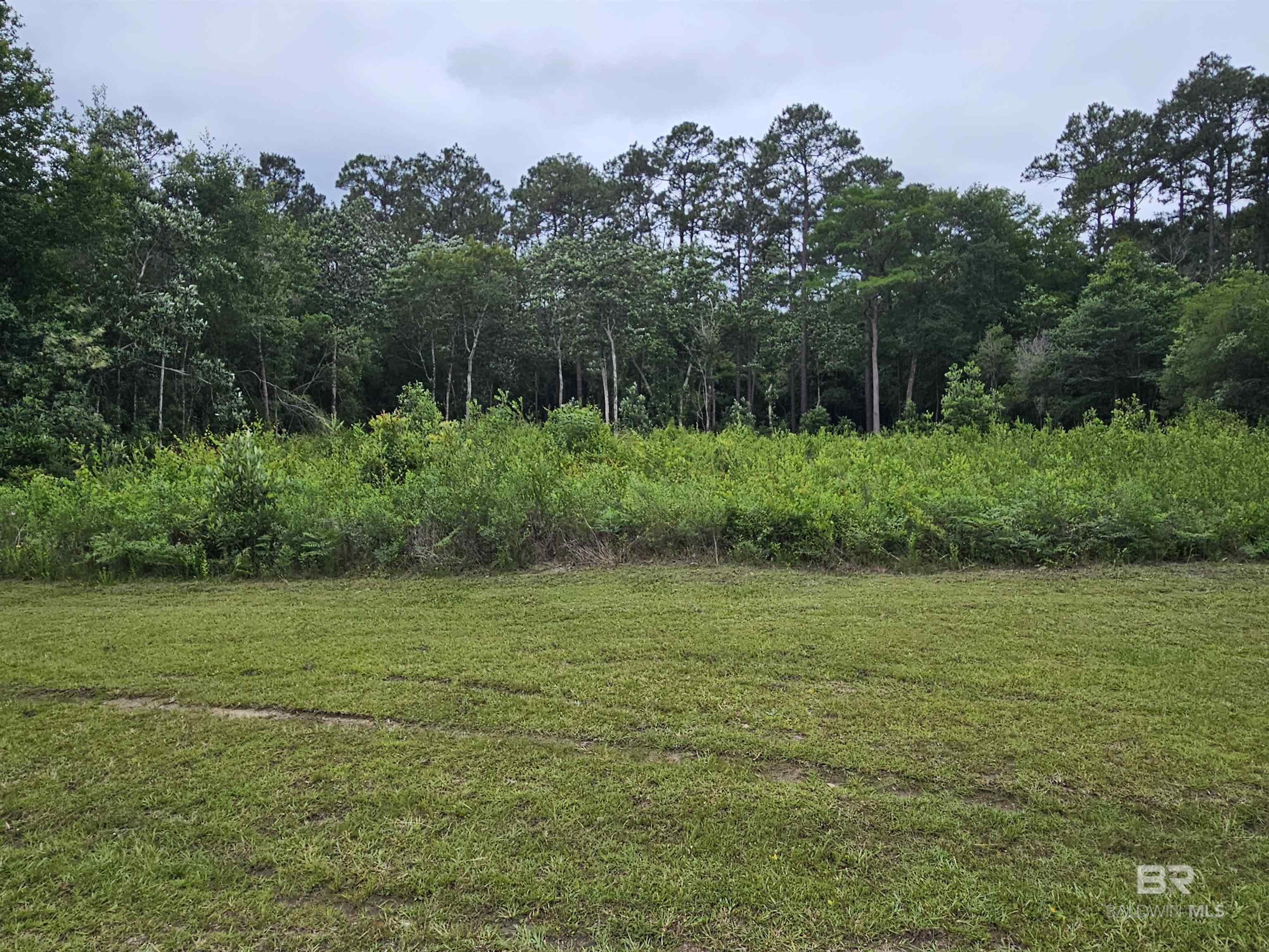Photo 1 of 2 — 0 Deerfield Drive, Irvington, AL 36582
