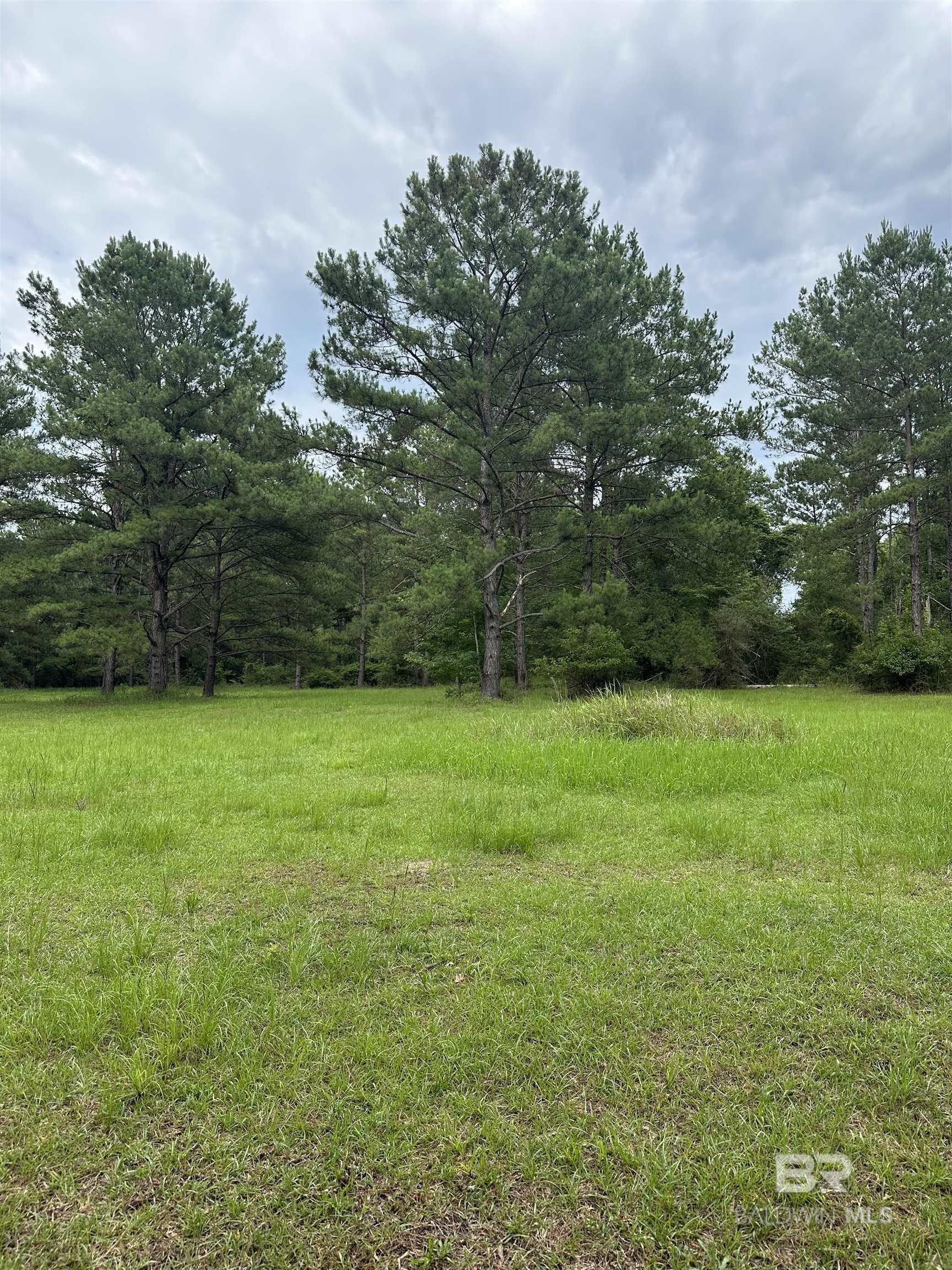 Photo 1 of 6 — 40140 Dogwood Fork Road, Bay Minette, AL 36507
