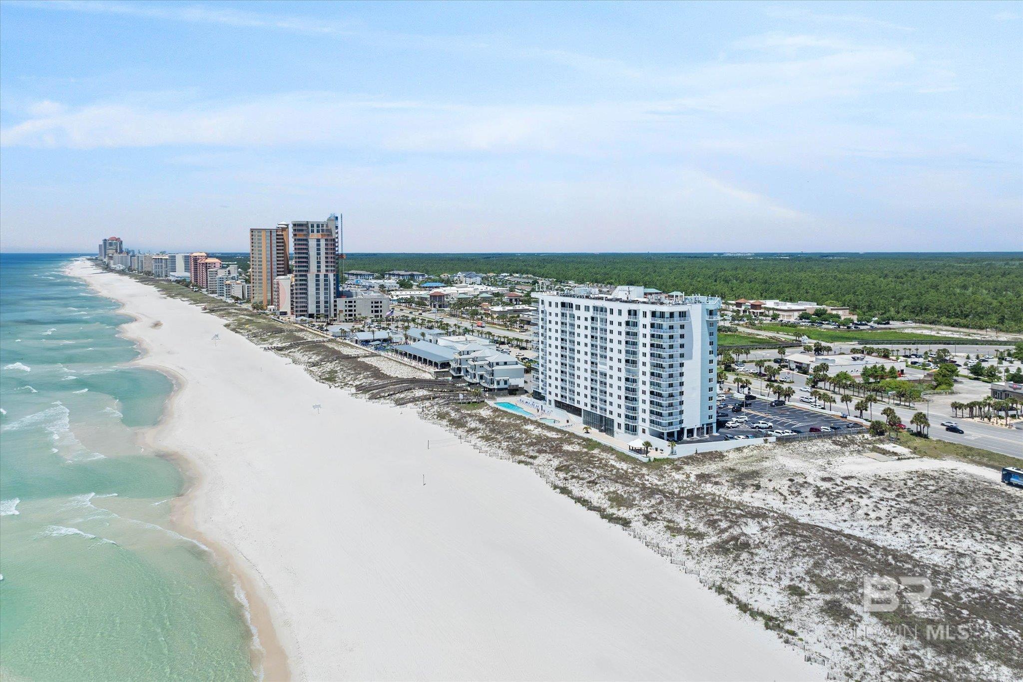25800 Perdido Beach Boulevard 305