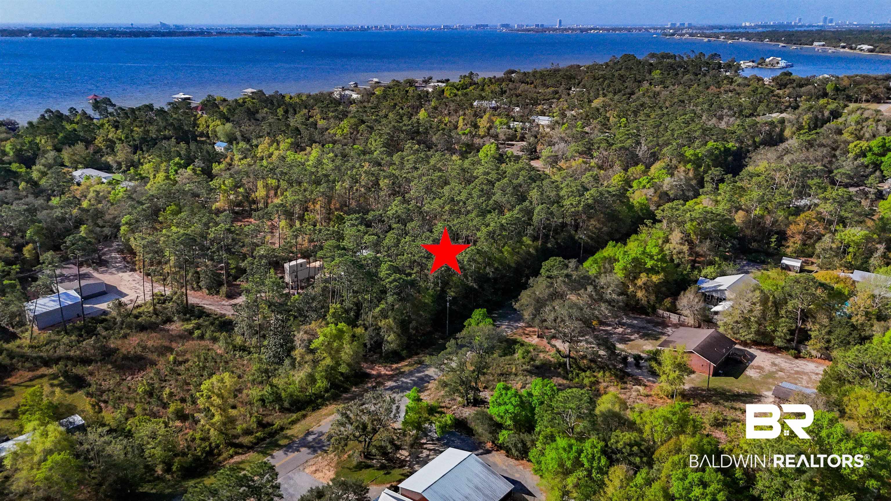 Aerial view of a forest and a large body of water