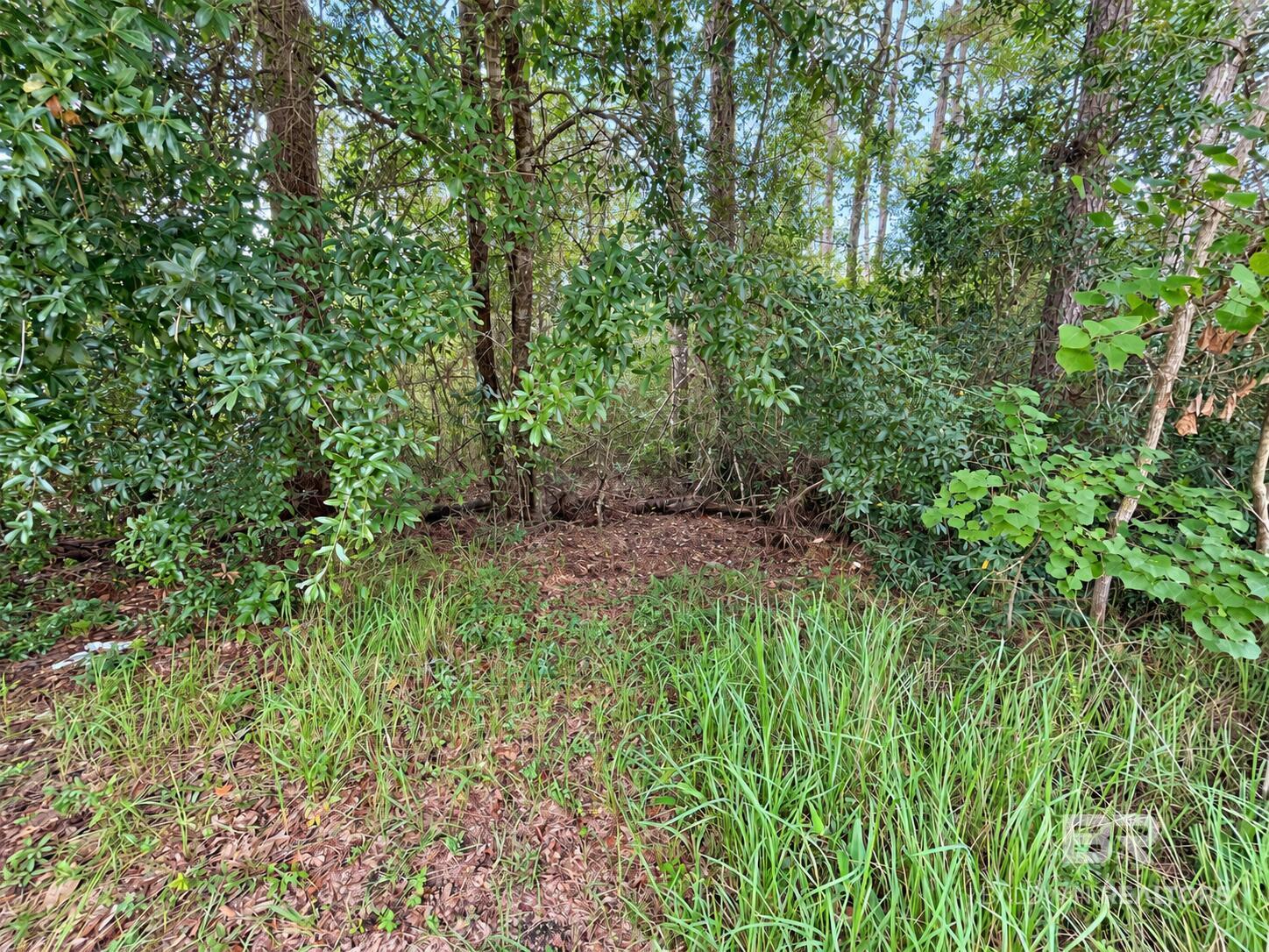 0 Acorn Knoll Drive