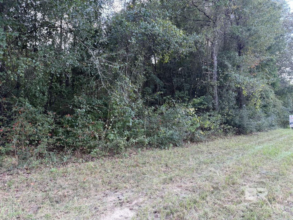 20500-A Block US Hwy 31