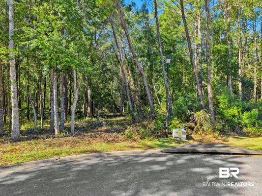 0 SADDLEWOOD LANE, FAIRHOPE, AL 36532 - Image 089b0af10c4ff2d505d4be9128bdf0f6/3928094507