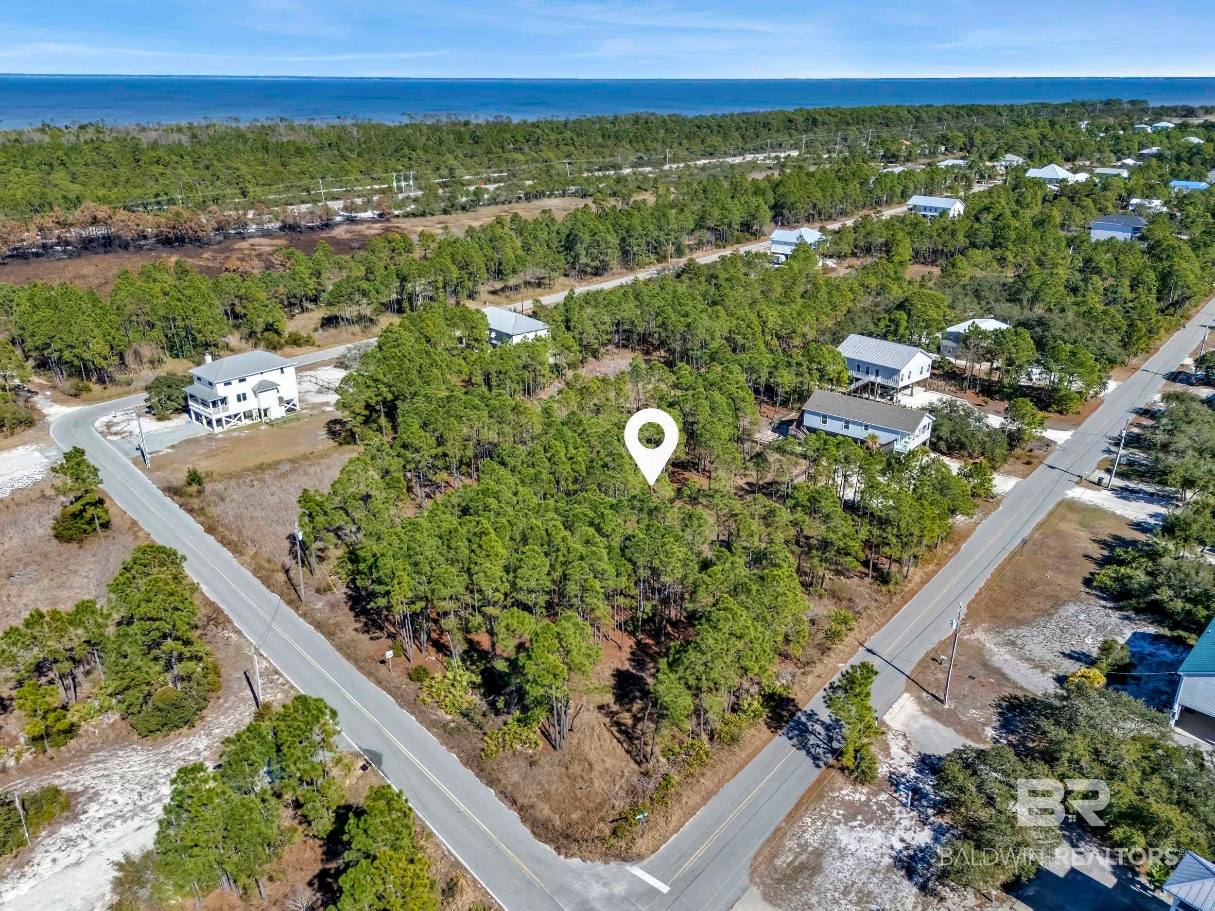 0 Palmetto Drive