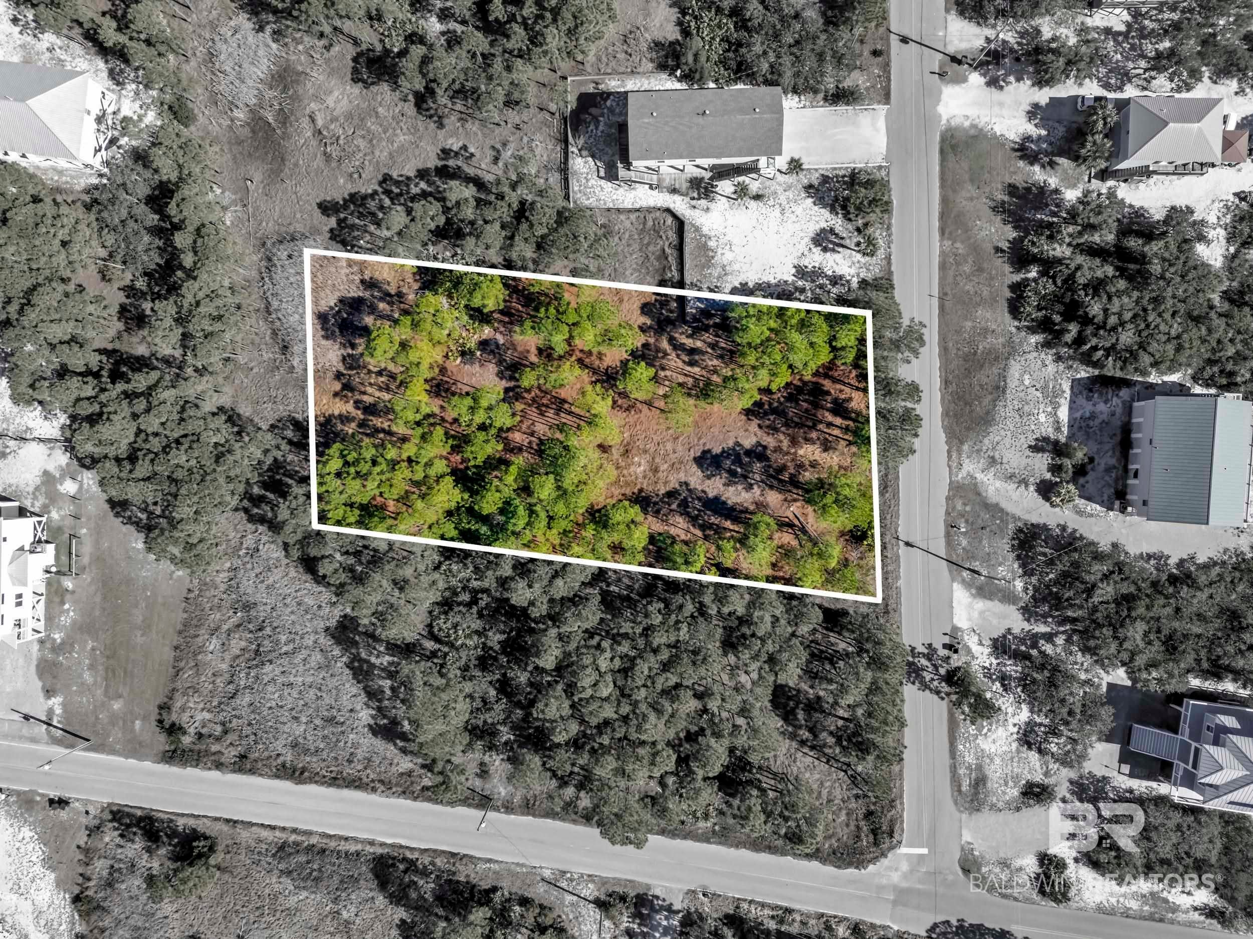 0 Palmetto Drive