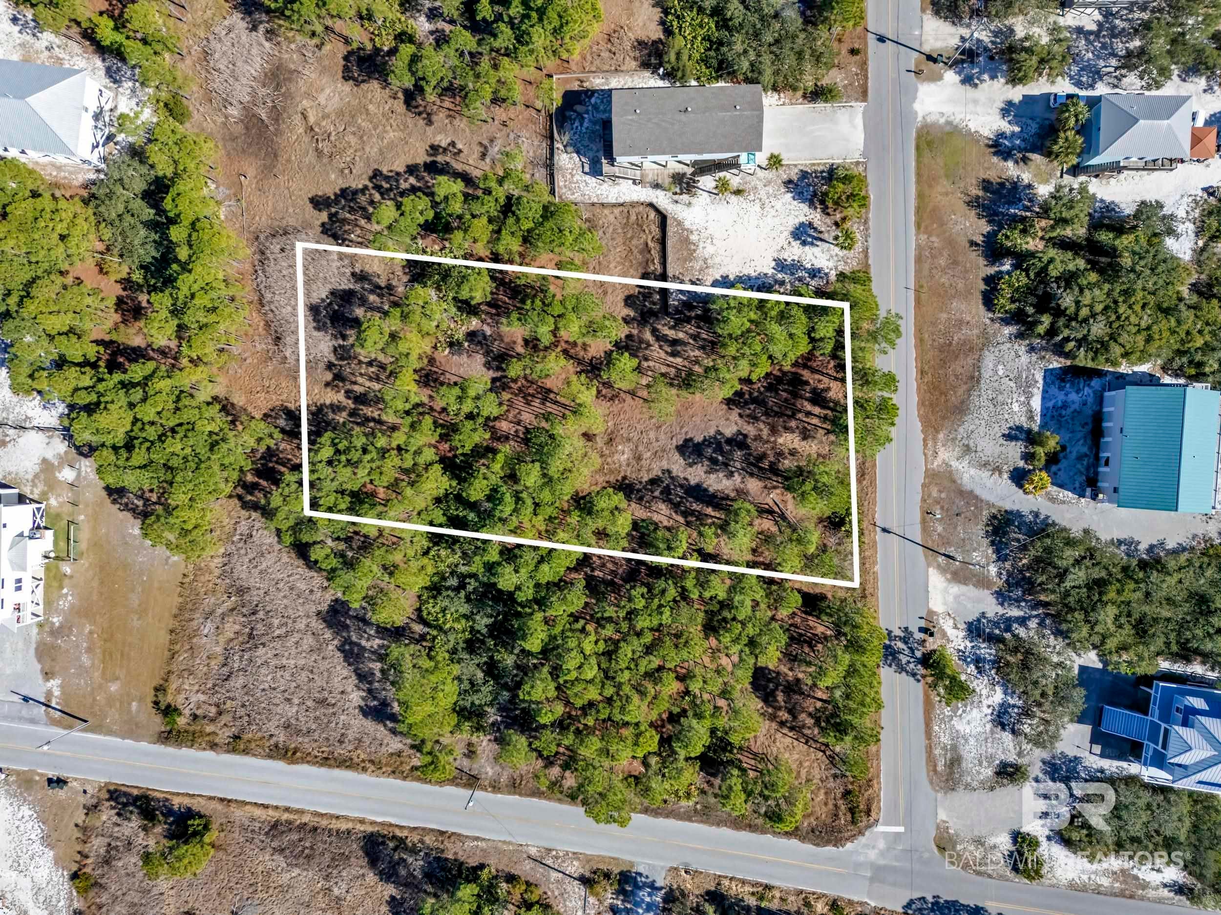 0 Palmetto Drive