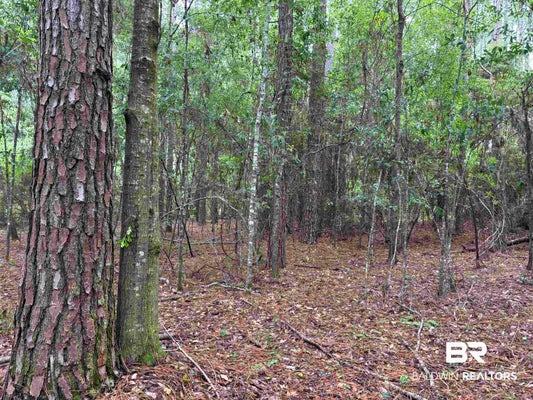 COUNTY RD 48, ROBERTSDALE, AL 36567 - Image 153ffd4f5abe757c2e69709e151a461a/2760934367