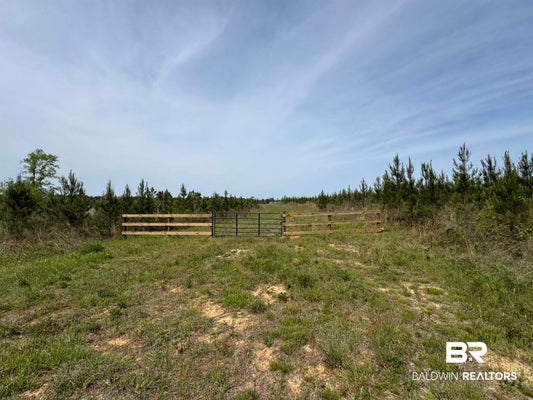 COUNTY RD 64, ROBERTSDALE, AL 36567 - Image 1bab4fa8c8fa4aad1e0117c1e3abda5a/4291590632