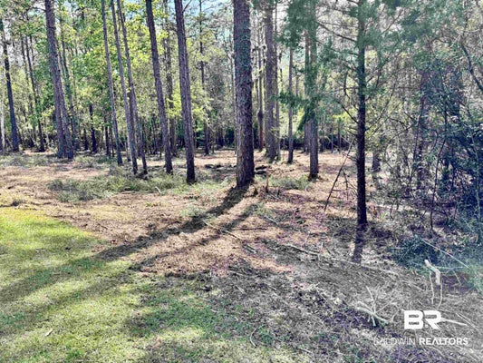 0 STEELWOOD RIDGE ROAD, LOXLEY, AL 36551 - Image 20457586ce3c1dd2c895d2b0e727b7e2/738454064