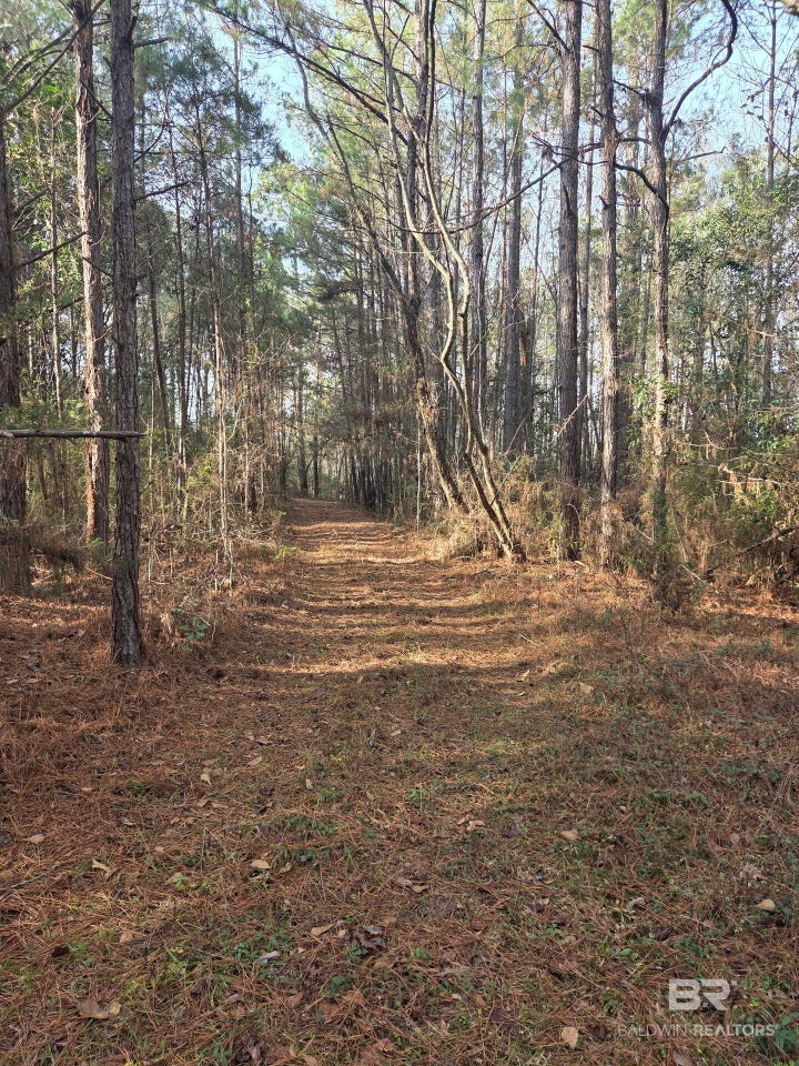 Photo 1 of 8 — 0 Jackson Street, Castleberry, AL 36432