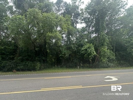 4113 LOTT RD, EIGHT MILE, AL 36613 - Image 27ffd6b079f0b84dcff3ee3cab6d074b/3948543618