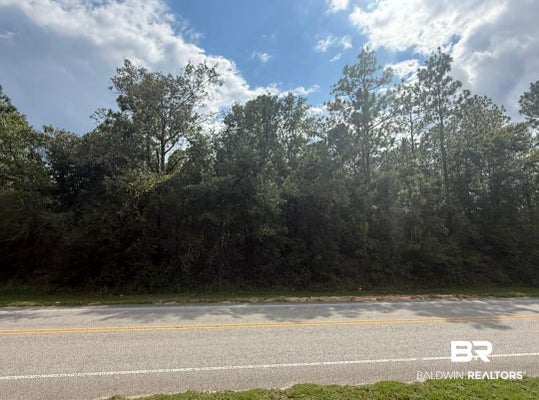 3307 RADCLIFF RD, SARALAND, AL 36571 - Image 295cff2ea610476acf5291d79da72abe/680980116