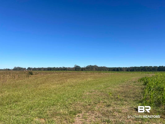 4900 HIGHWAY 97, MC DAVID, FL 32568 - Image 3bcb7fb84536ad1a6be0b480e1508e21/600790756