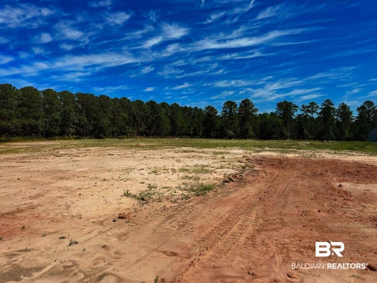 T BRIDGE RD, RED LEVEL, AL 36474 - Image 3bccf39368086af6f414e5bfa70edb4e/2297010749