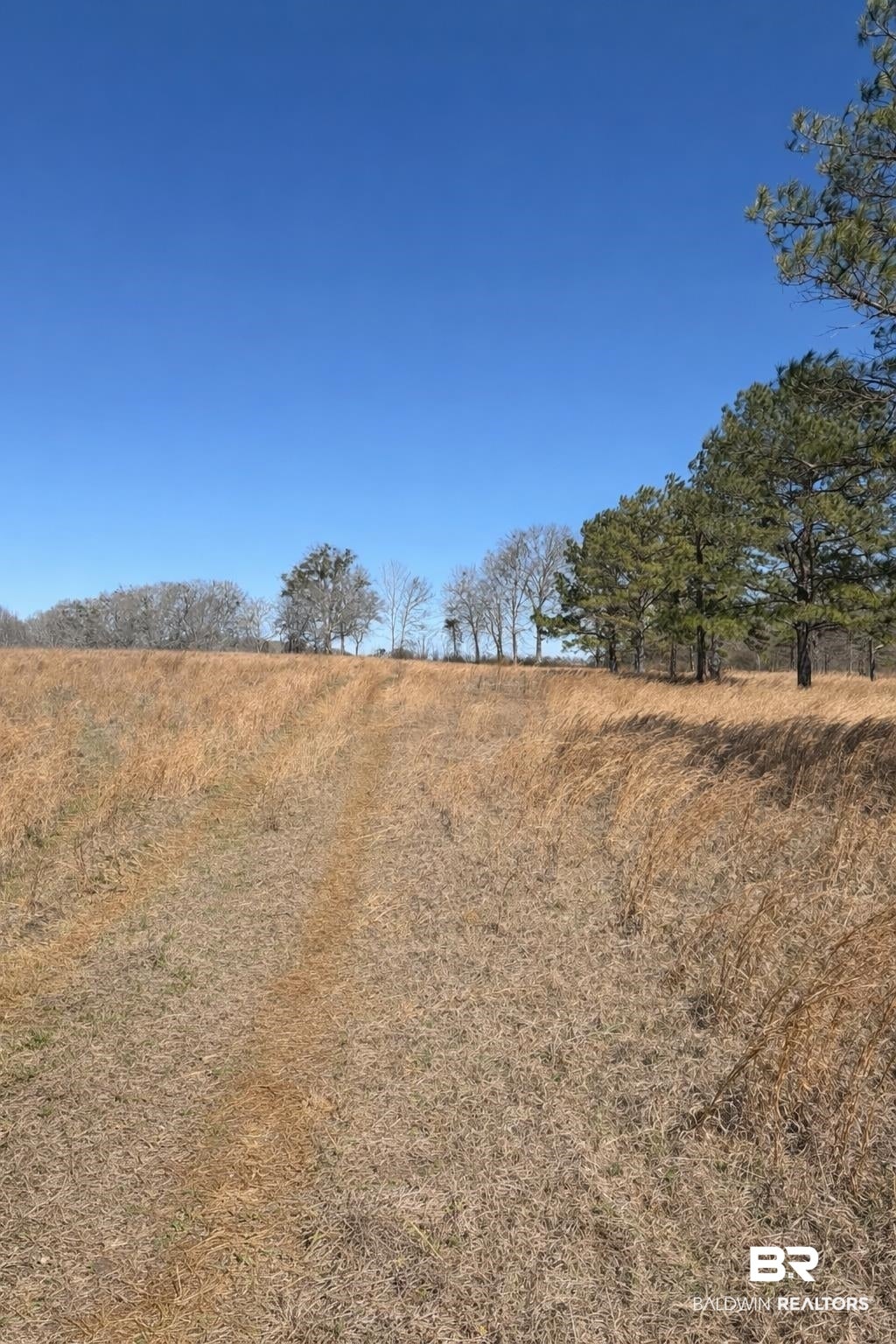 View of local wilderness with rural landscape