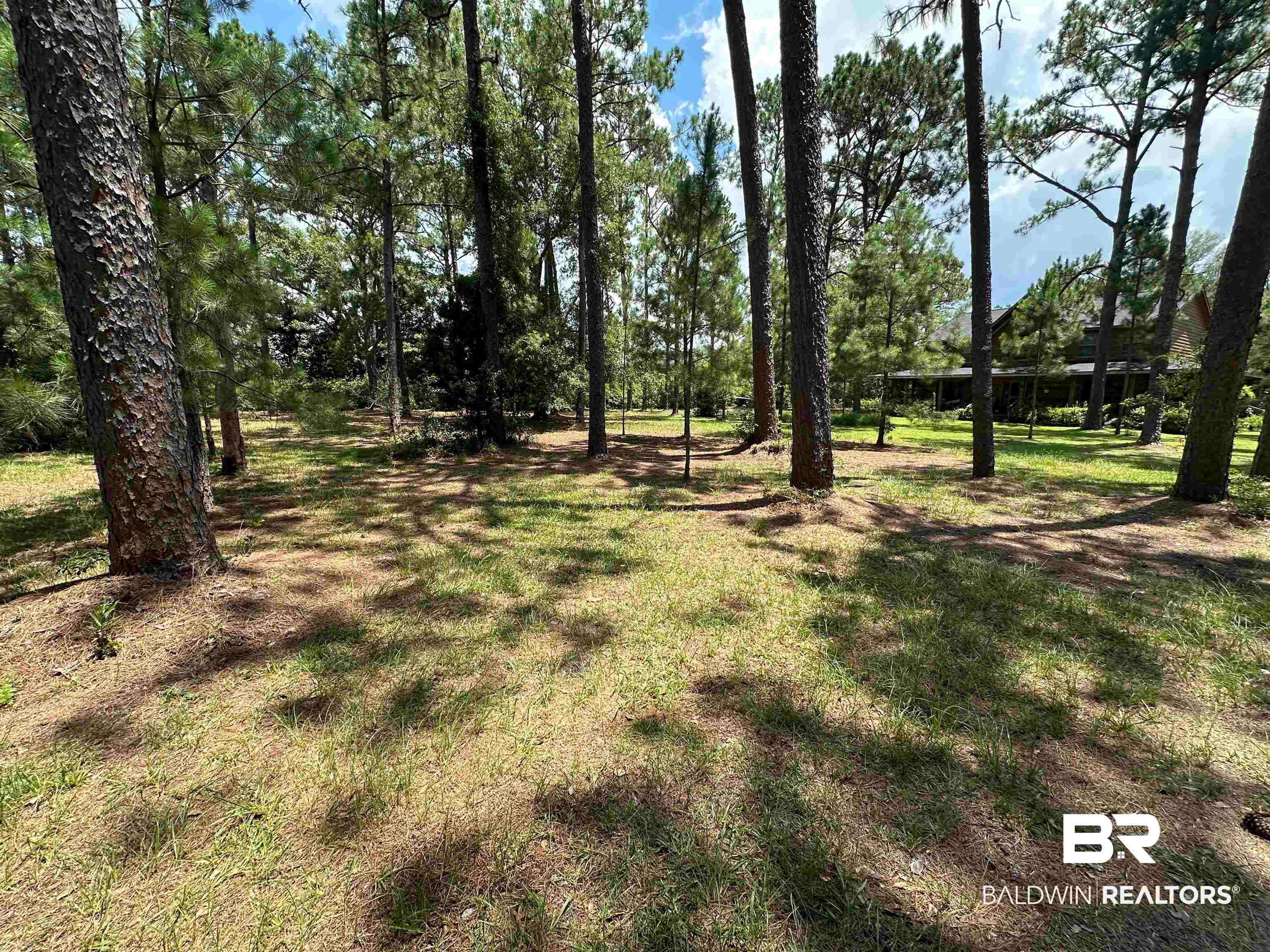 8100 S Highway 59 - Photo 3