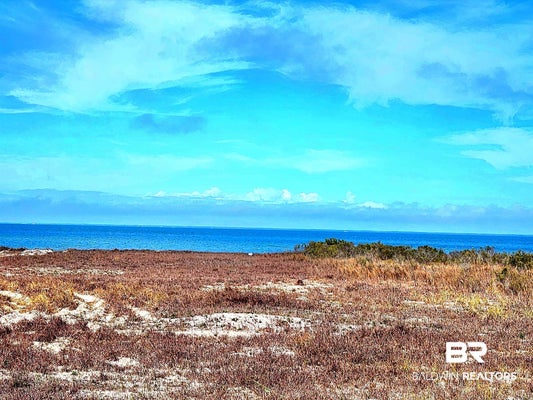 2826 BIENVILLE BLVD, DAUPHIN ISLAND, AL 36528 - Image 4c8ff7b8da010e2512ebe067d9e6e760/4195880236