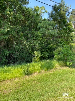 51 STEELWOOD RIDGE ROAD, LOXLEY, AL 36551 - Image 4d6441d042b02e889b64cd2ba5bd924e/3952083810
