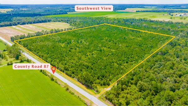 COUNTY RD 87, ELBERTA, AL 36530 - Image 4eab6263dfe1646c8acdbe2026e10fad/225788948