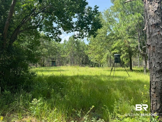 0 NOKOMIS ROAD, WALNUT HILL, FL 32568 - Image 5111041dc470b1ca183d969dcddf1e3d/1438507788