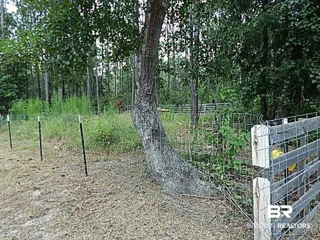 29863 County Road 87 - Photo 4