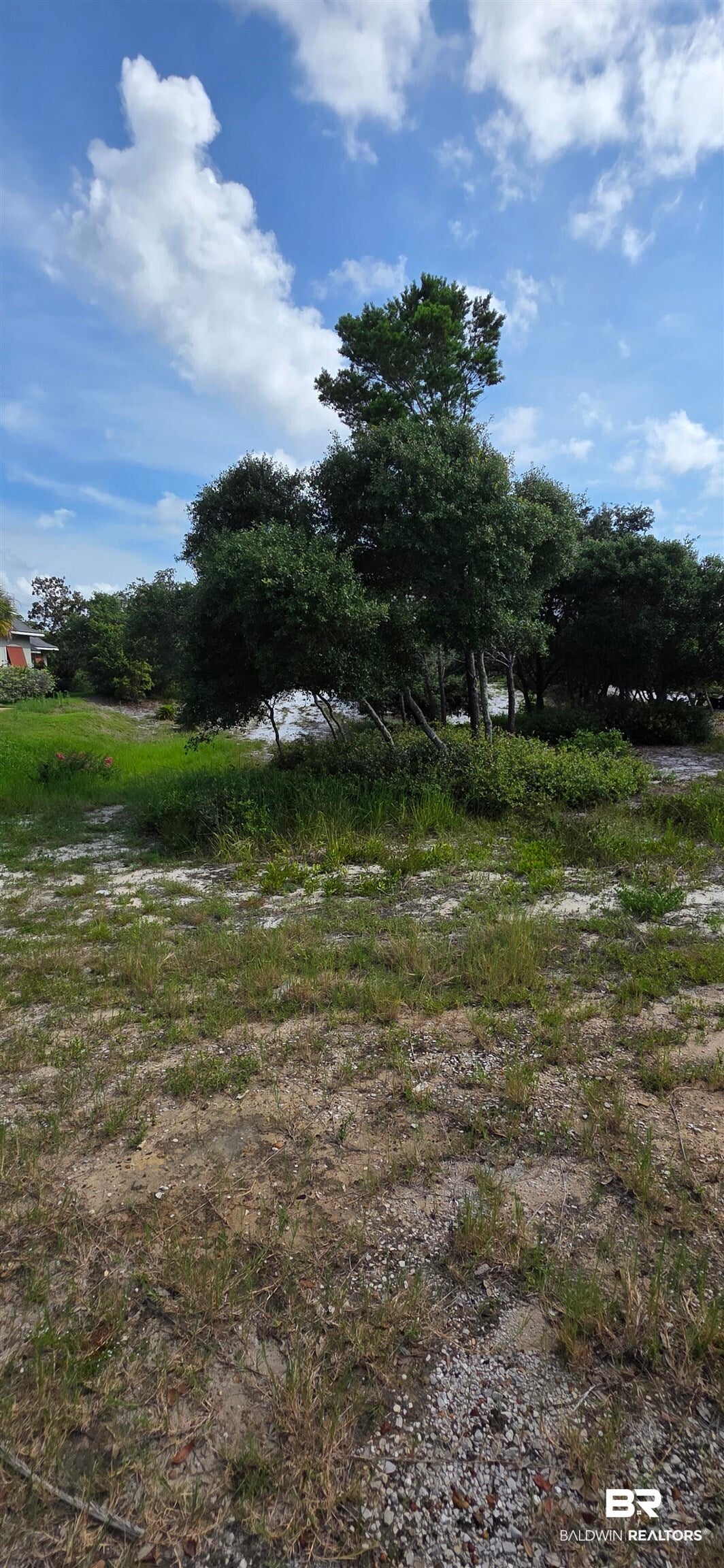 31403 Pine Run Drive Lot #56 Pine Run Drive