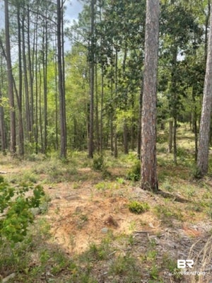 0 ELDERBERRY DRIVE, DAPHNE, AL 36526 - Image 5f2778e4bb34666d41edd1f60db0bdd7/3368772912