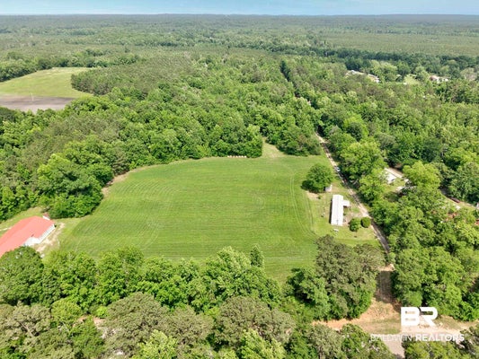 726 COUNTY ROAD 19, CAMDEN, AL 36726 - Image 62e3629c9a4f33eeb68f98dfef82ada8/183124936