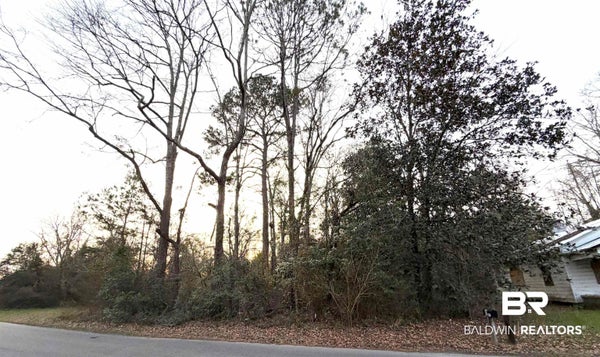 11 KING CT, BREWTON, AL 36426 - Image 6af382c671e2fe93387a2e665c8461bb/416082783