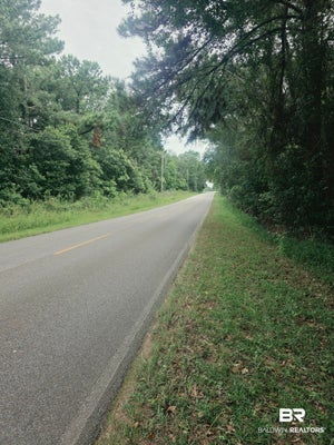 2 MILE RD, IRVINGTON, AL 36544 - Image 7e09e035c6172bd016bd68dd1cf2c460/3447873345