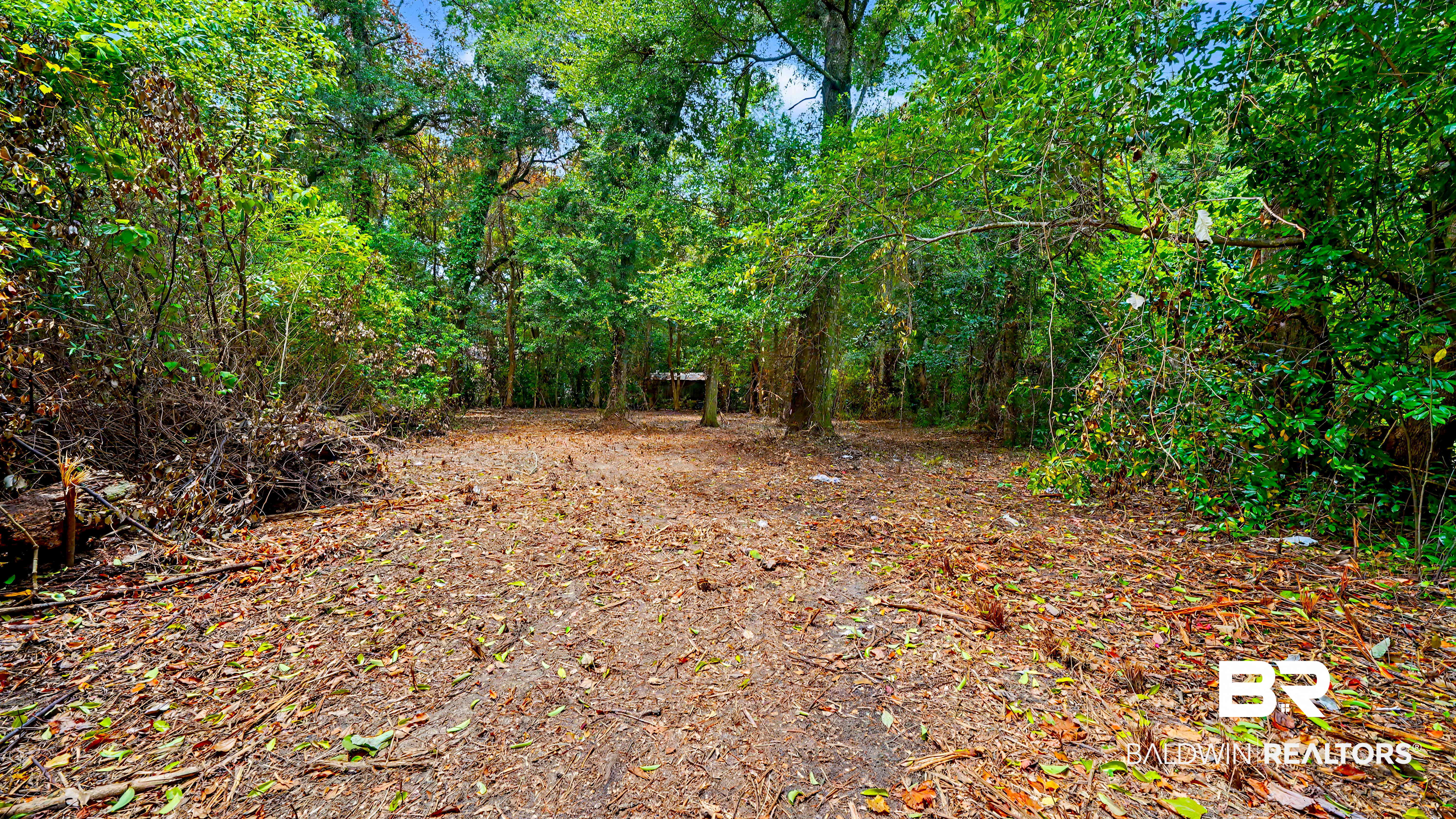 1407 Captain O'Neal Drive - Photo 2