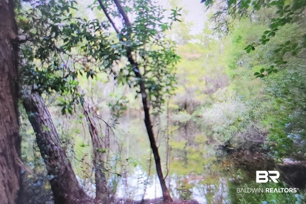 JUNIPER RD, SEMINOLE, AL 36574 - Image 8bfa13075bcffb20207be7fd524adcc7/344897028
