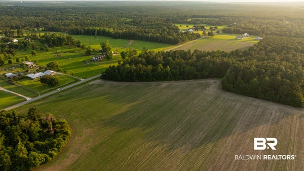 PINE RD S, STAPLETON, AL 36578 - Image 8efe660fc4cb679cbacfb15d2c6bf6e0/1657591389