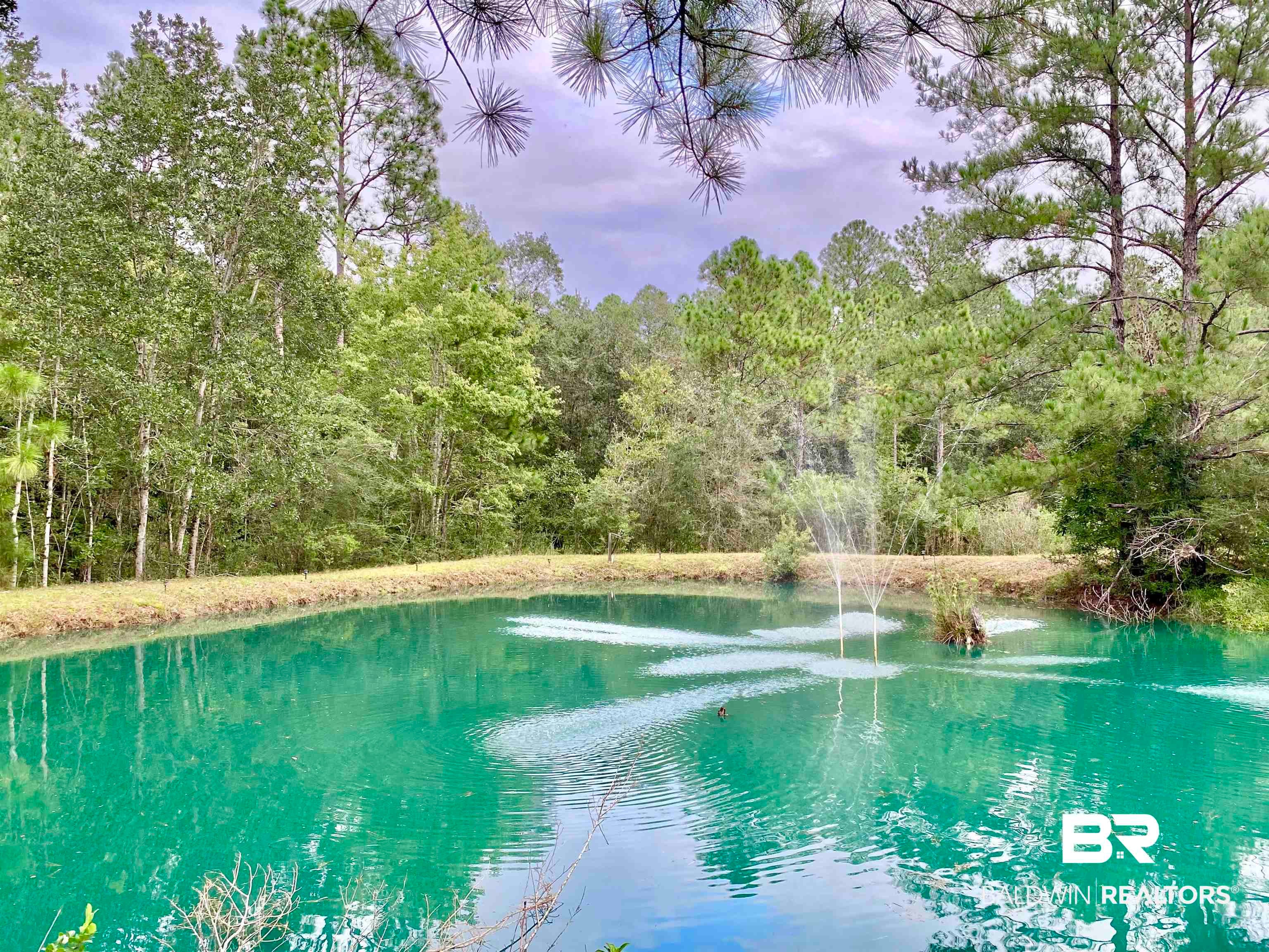 21305 River Road - Photo 2