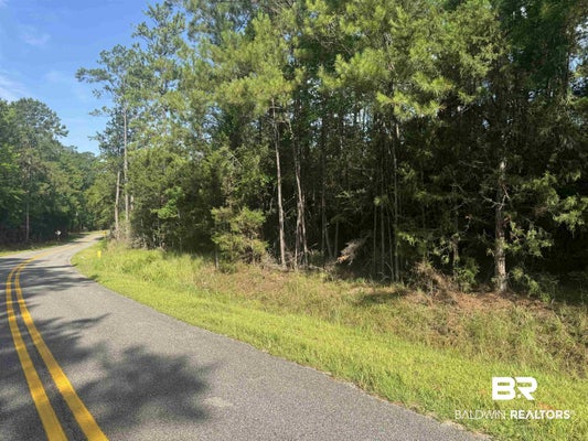 9050 RICE CREEK RD, STOCKTON, AL 36579 - Image 9a68976800aad008d85f507b316c2ce4/888408322