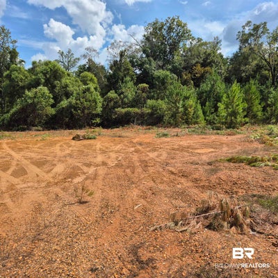 W FRONT ST, EVERGREEN, AL 36401 - Image a0e1f7571faaaceb089d0a178bf9d063/2746706580