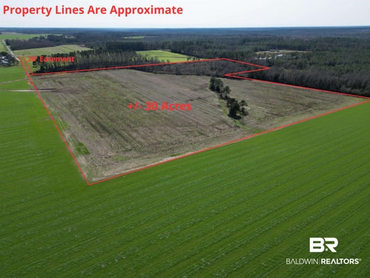 5400 ROCKAWAY CREEK RD BLK, MCDAVID, FL 32568 - Image a1285b0d37c5935e8bd2ecf5fb950af3/3004030384