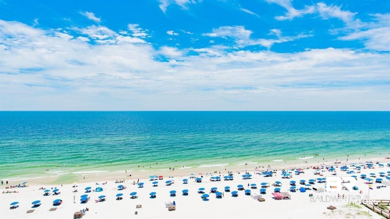 24400 Perdido Beach Boulevard 306