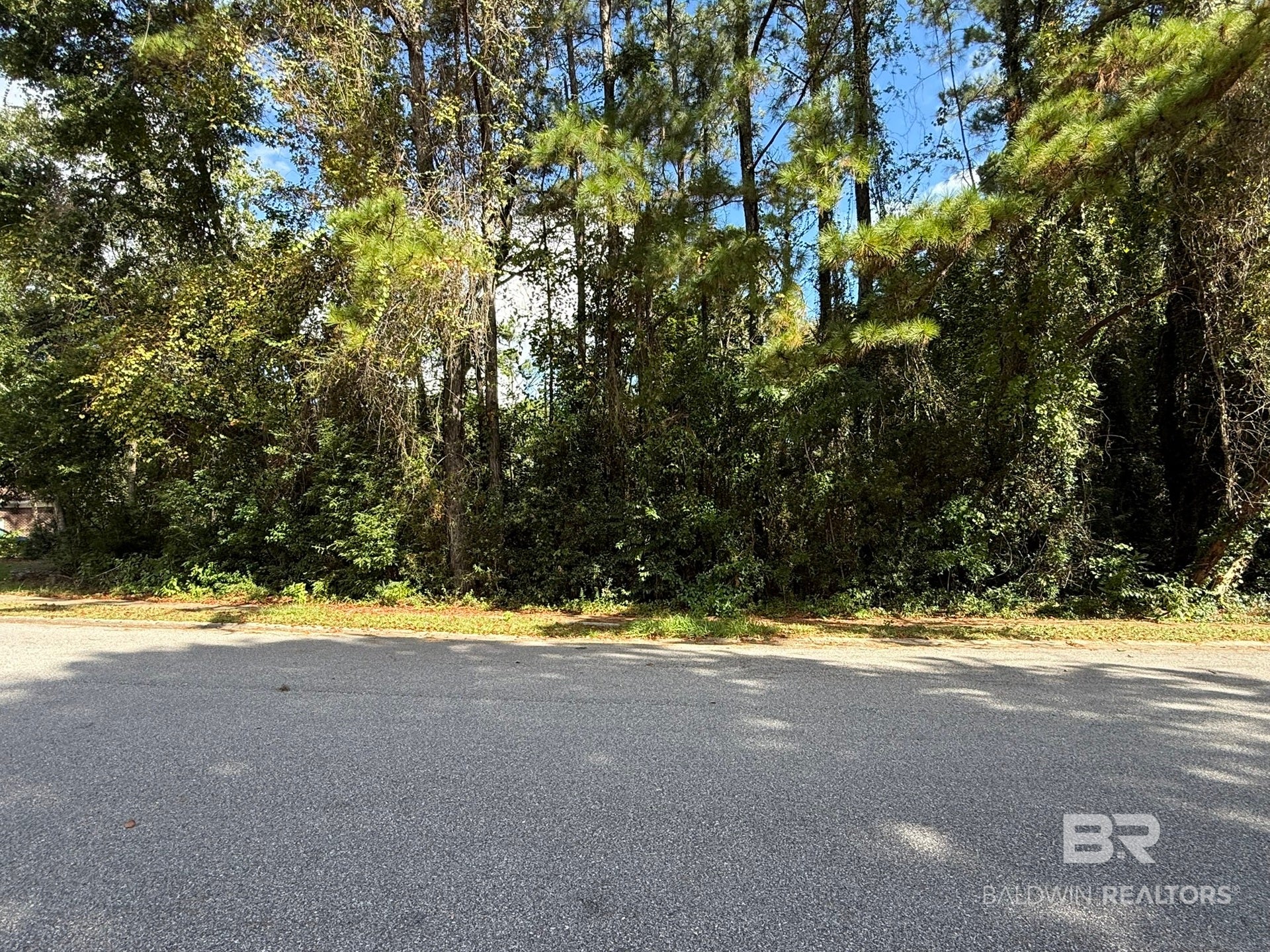 00 Charleston Oaks Drive 5