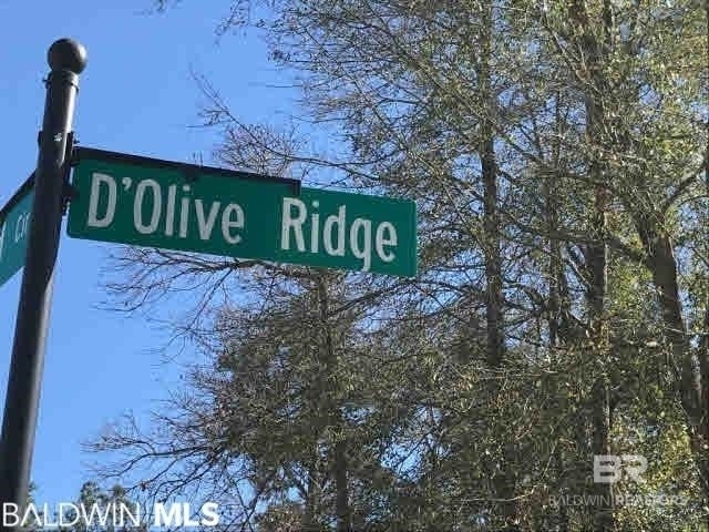 29910 D'Olive Ridge