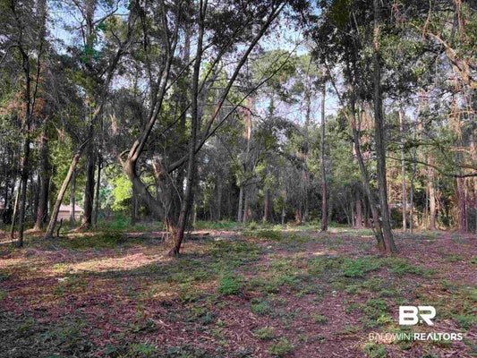226 DENISE LN, DAPHNE, AL 36527 - Image ada630bf7dd7bbeda0eef3acdcbc8268/749561421
