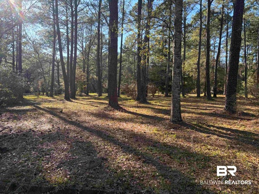 VENICE CT, MOBILE, AL 36605 - Image b0e6b754f5f7ea99d14dd83eae75b4ae/2408280029