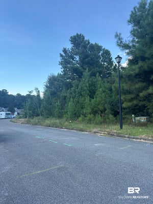 0 REEVES COURT, MOBILE, AL 36695 - Image b913f63a99c40c531bbef6e588f24708/2373646571