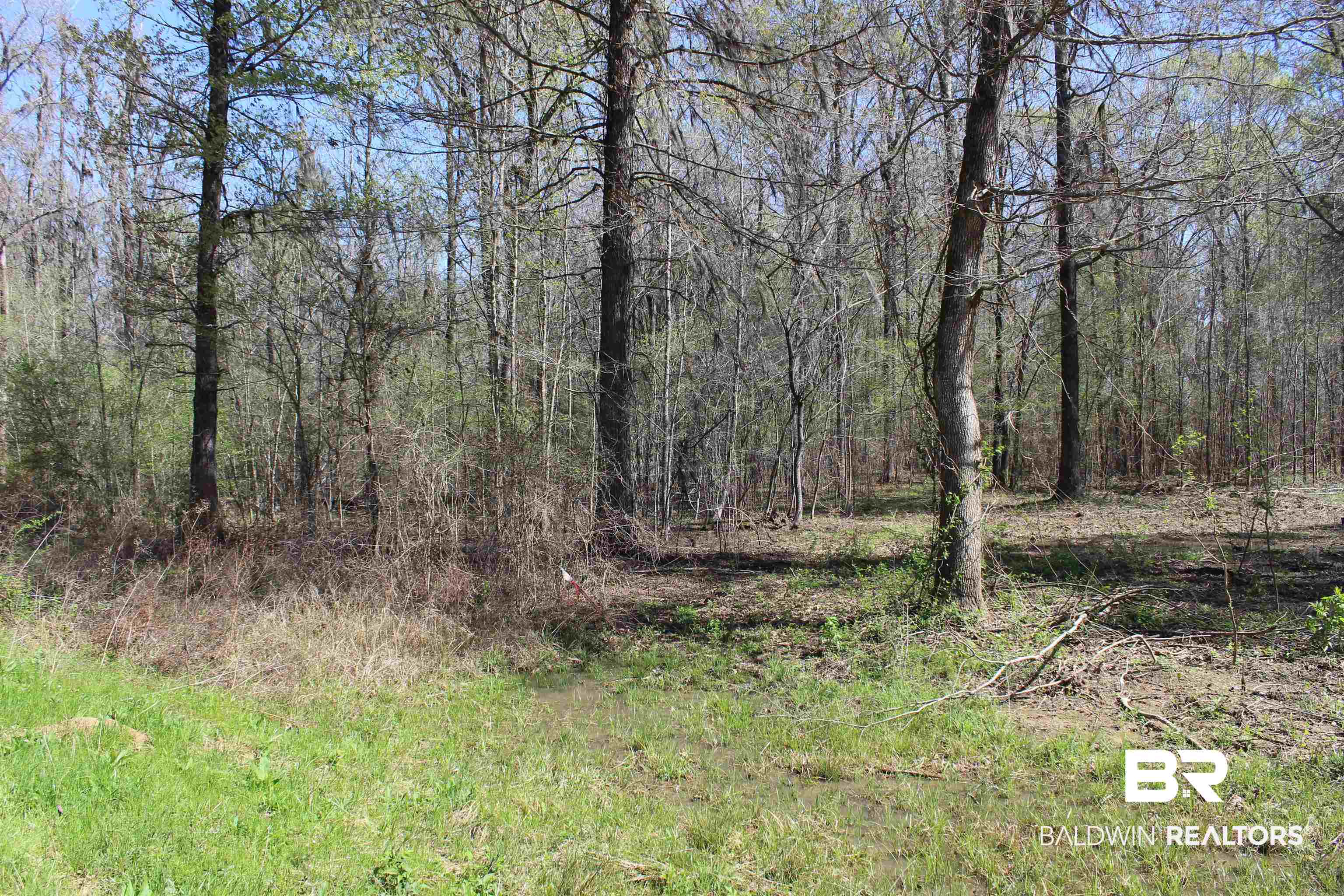 View of undeveloped land