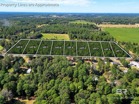 LOT 2 ROCKAWAY CREEK RD, ATMORE, AL 36502 - Image d09f36a90d9a5ff8d6f9c867d667a852/403537358