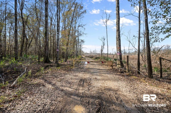 0 BRYANTS LANDING ROAD, STOCKTON, AL 36579 - Image d14e0c4cf24aedb8dec3c2e514bc7dbd/2063961024