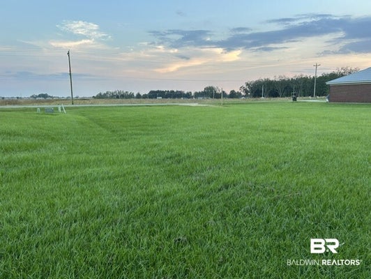 19585 E SILVERHILL AVE, ROBERTSDALE, AL 36567 - Image d2d00451f2da91fbcd39857196379bc7/3802311449