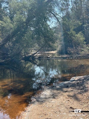 WOLF LOG RD, FLOMATON, AL 36441 - Image e50b451b2d266a035bc8d0c855f712fd/835245980